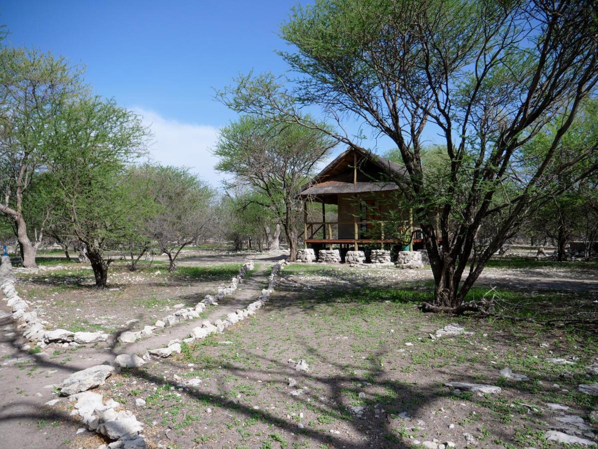 Thakadu Bush Camp Ghanzi Exterior foto